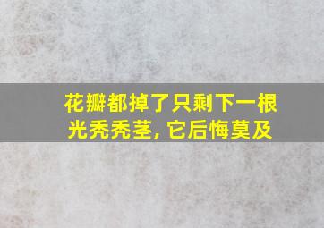 花瓣都掉了只剩下一根光秃秃茎, 它后悔莫及